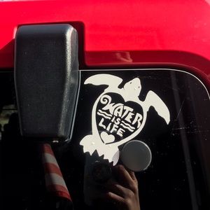 Window decals car decals. Cups and Cousy’s prices vary